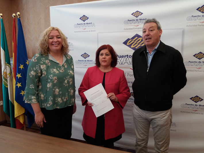 El PSOE pide al Congreso que estudie la mejor frmula para la conexin ferroviaria del Puerto de Motril 